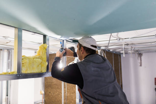 Best Crawl Space Insulation  in Plumsteadville, PA